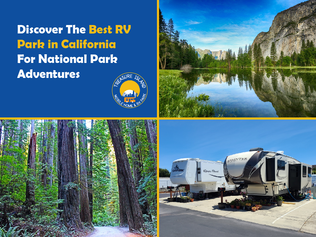 Discover The Best RV Park In California For National Park Adventures